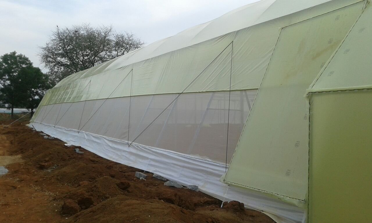 Ginegar Sunsaver IR 504(C-779) Greenhouse Covering Film