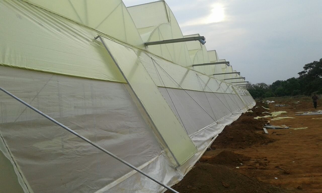 Ginegar Sunsaver IR 504(C-779) Greenhouse Covering Film