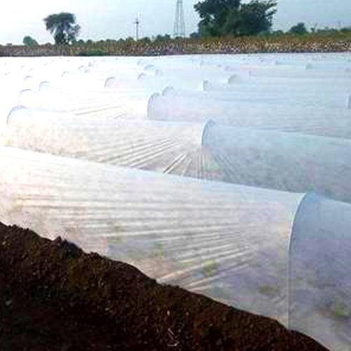 Crop Shield Crop Cover 17 GSM White/Red/Blue 1.6 mtrs